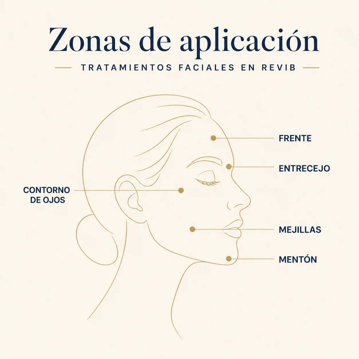 Infografía: zonas de aplicación facial más comunes en Revib